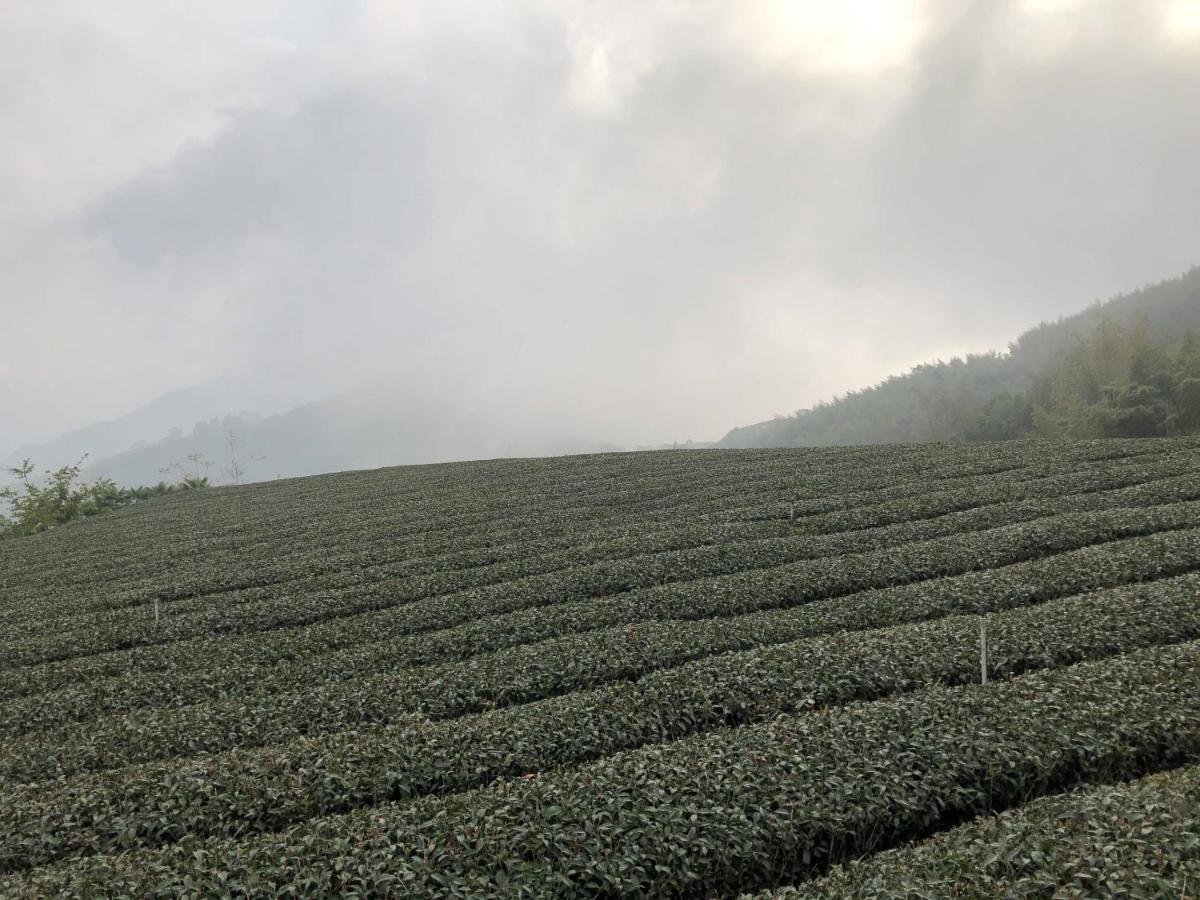 悟 佐茶 Satori Tea Villa Leye Exterior foto